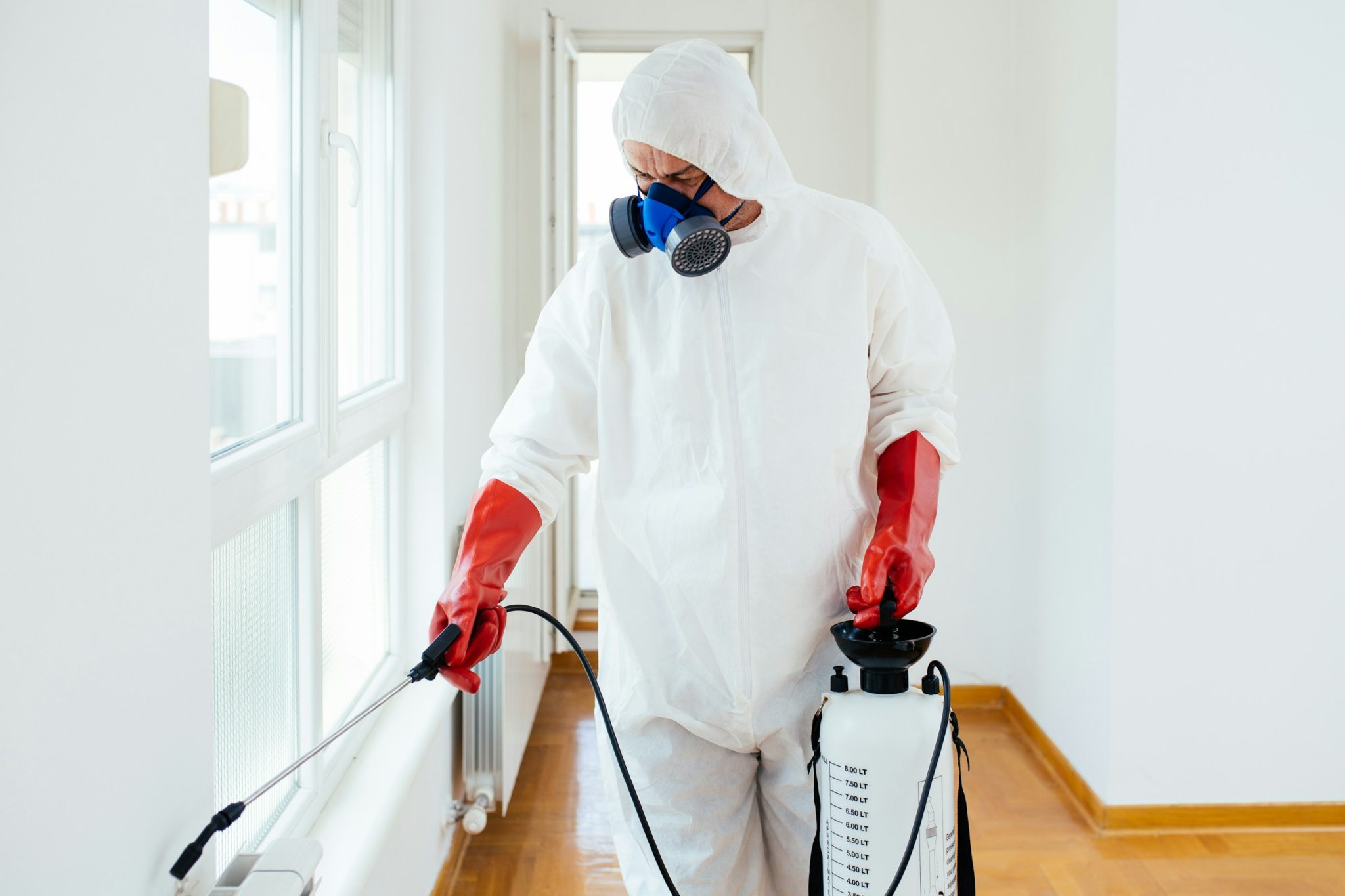 How to keep your home pest-free while traveling