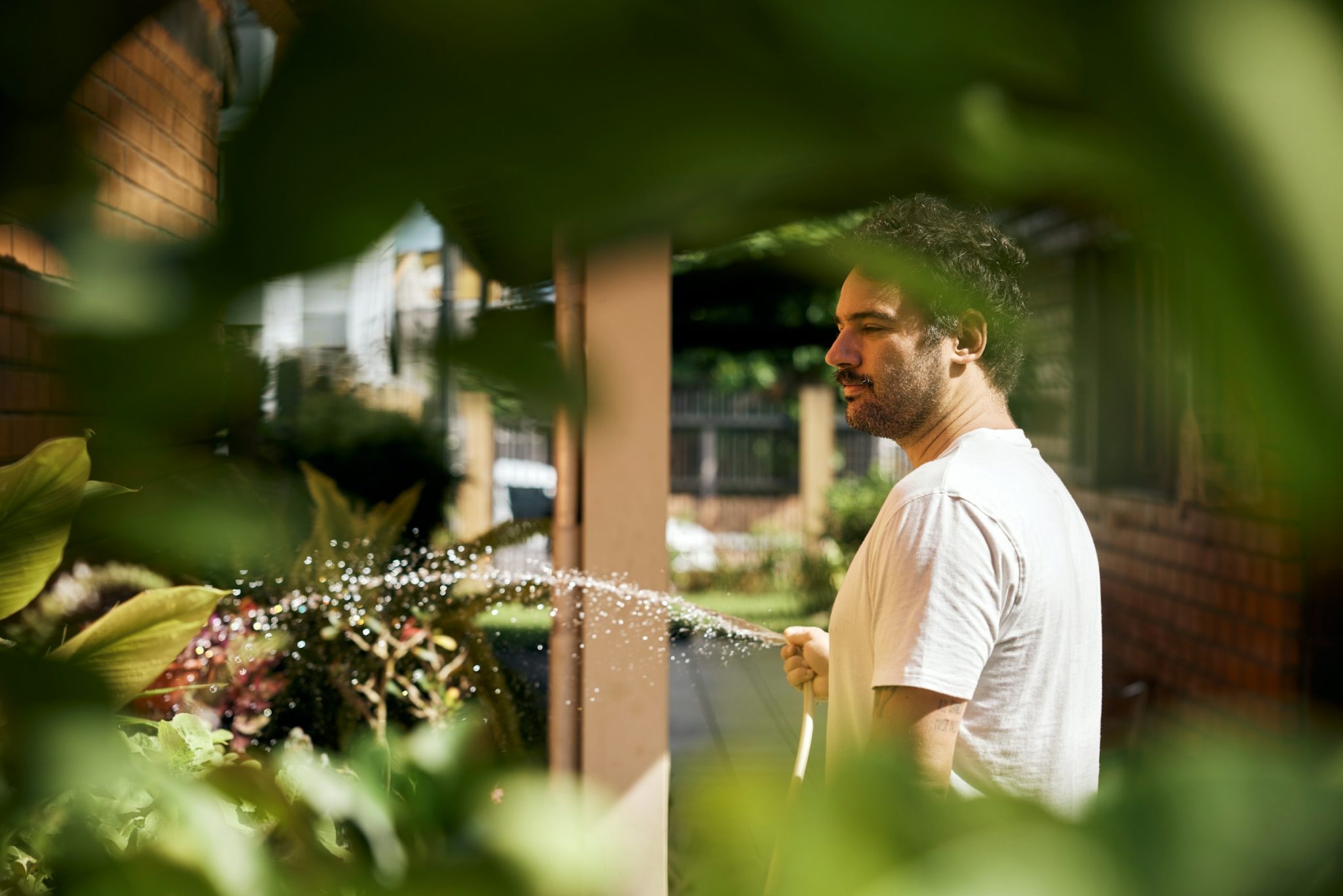 Last minute garden jobs to do before summer really kicks in