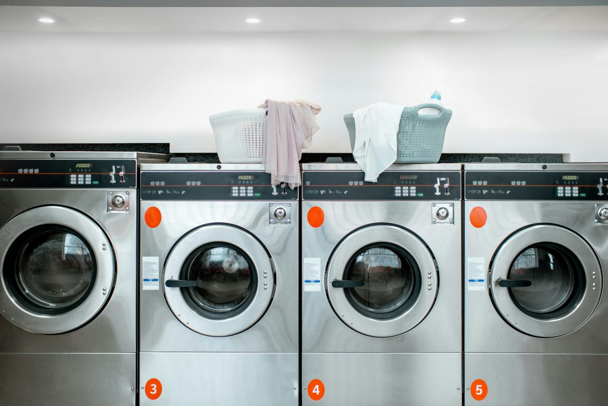 Pest control in laundromats: effective strategies for hygiene and safety