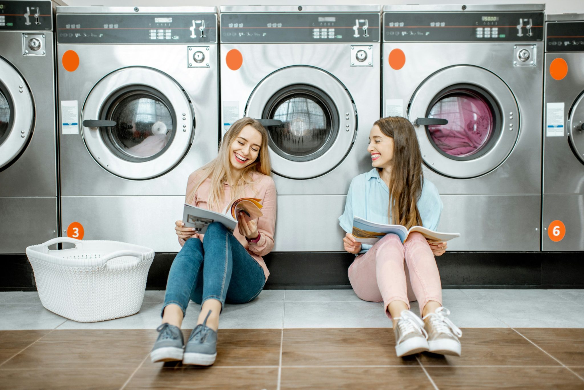 Pest control in laundromats: effective strategies for hygiene and safety