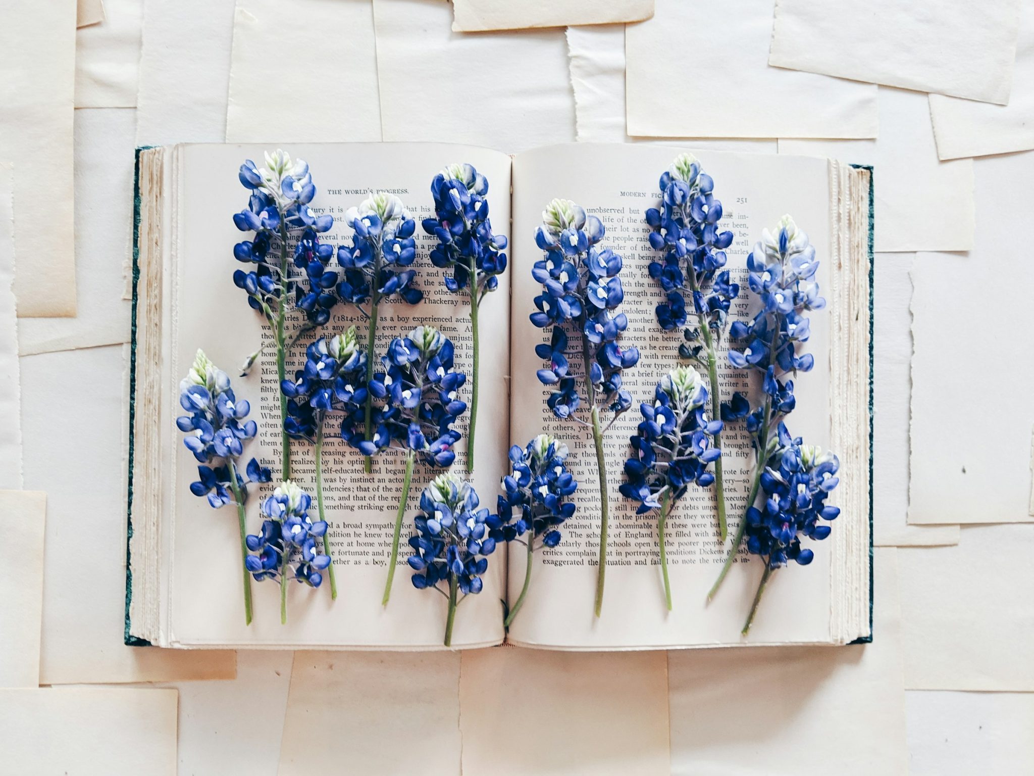The timeless symbolism of blue flowers and blue roses: a bouquet of mystery and serenity
