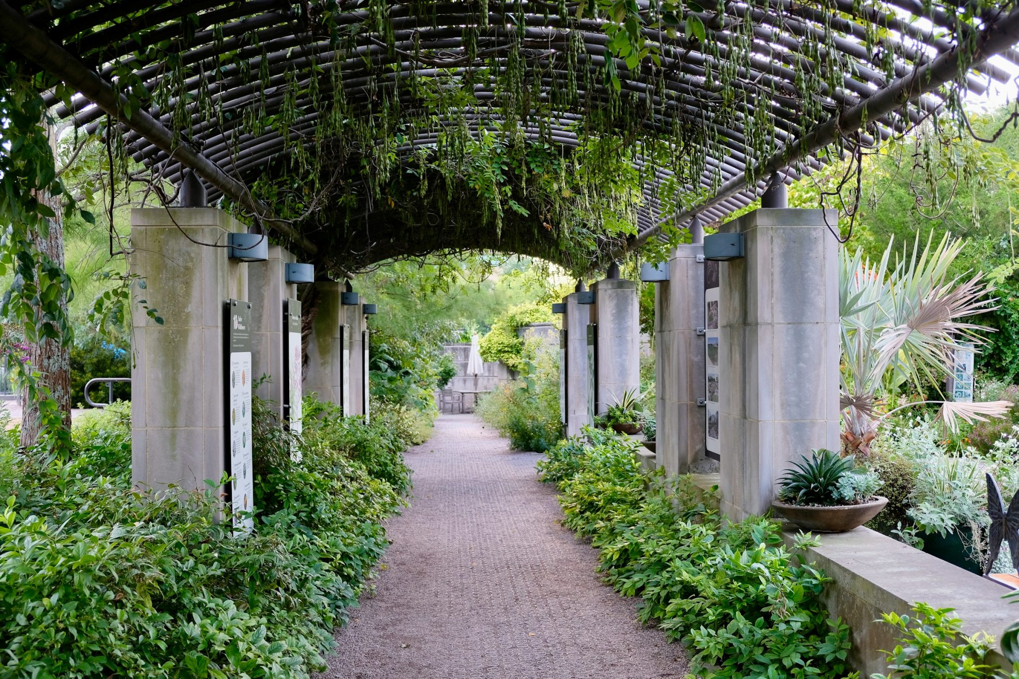 Exploring the botanical gardens and plant community around washington, d. C.