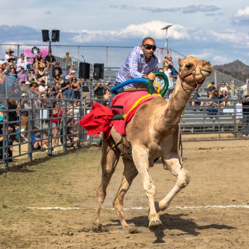Michael kahn fastest camel jockey 2024