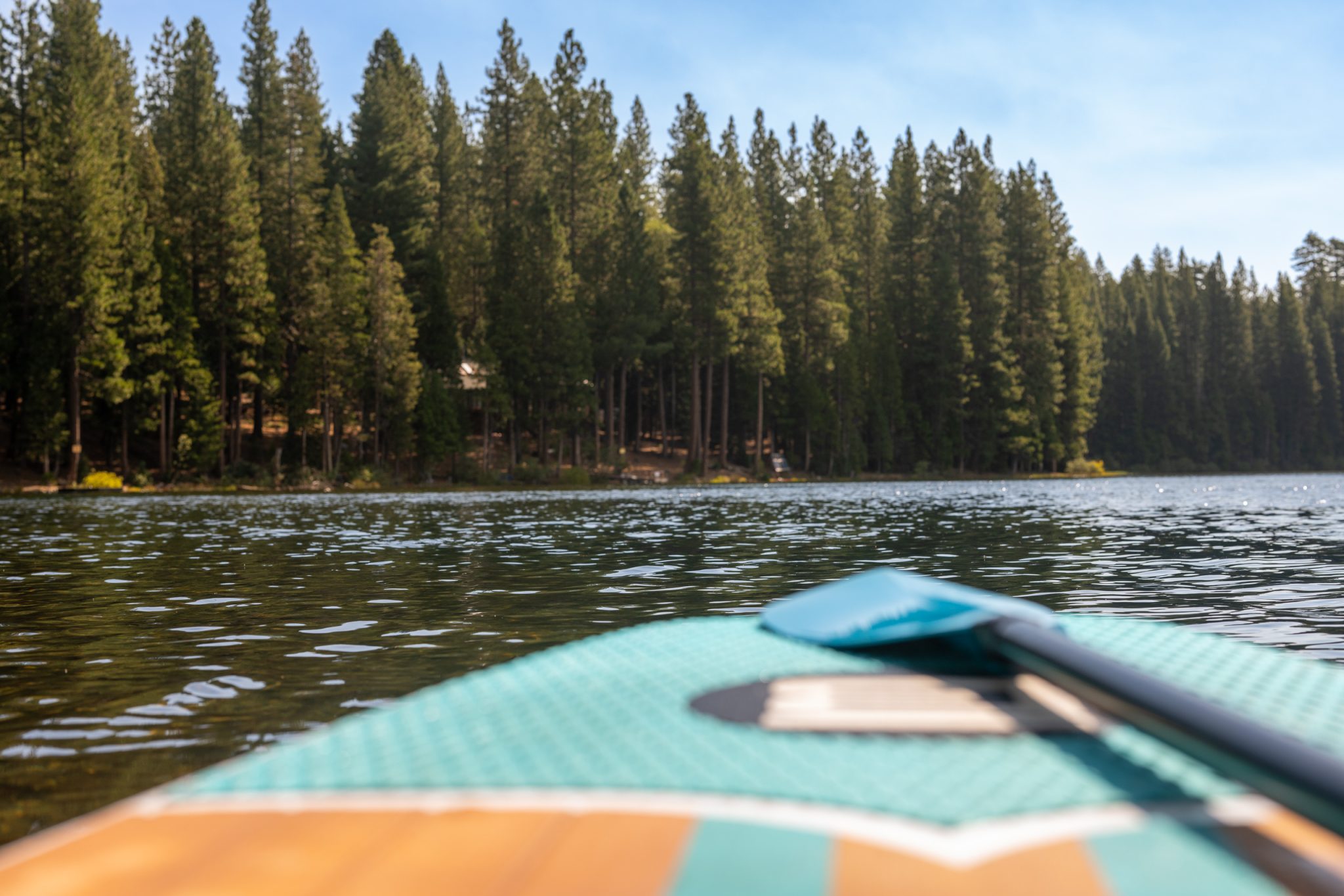 Fuller lake california paddle boarding floating