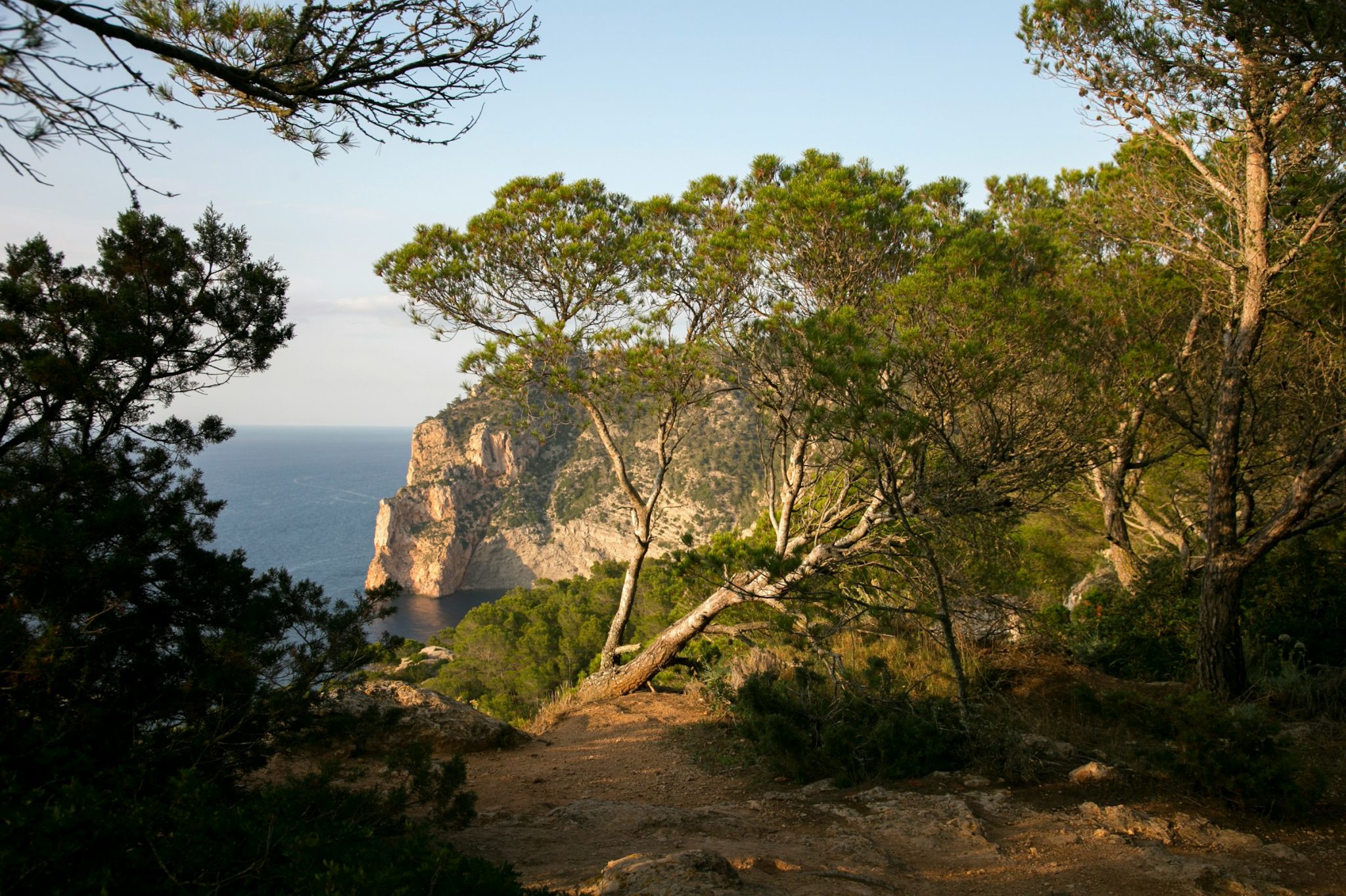 Spanish nature reserves are considered the best places in europe Spanish nature reserves are considered the best places in europe