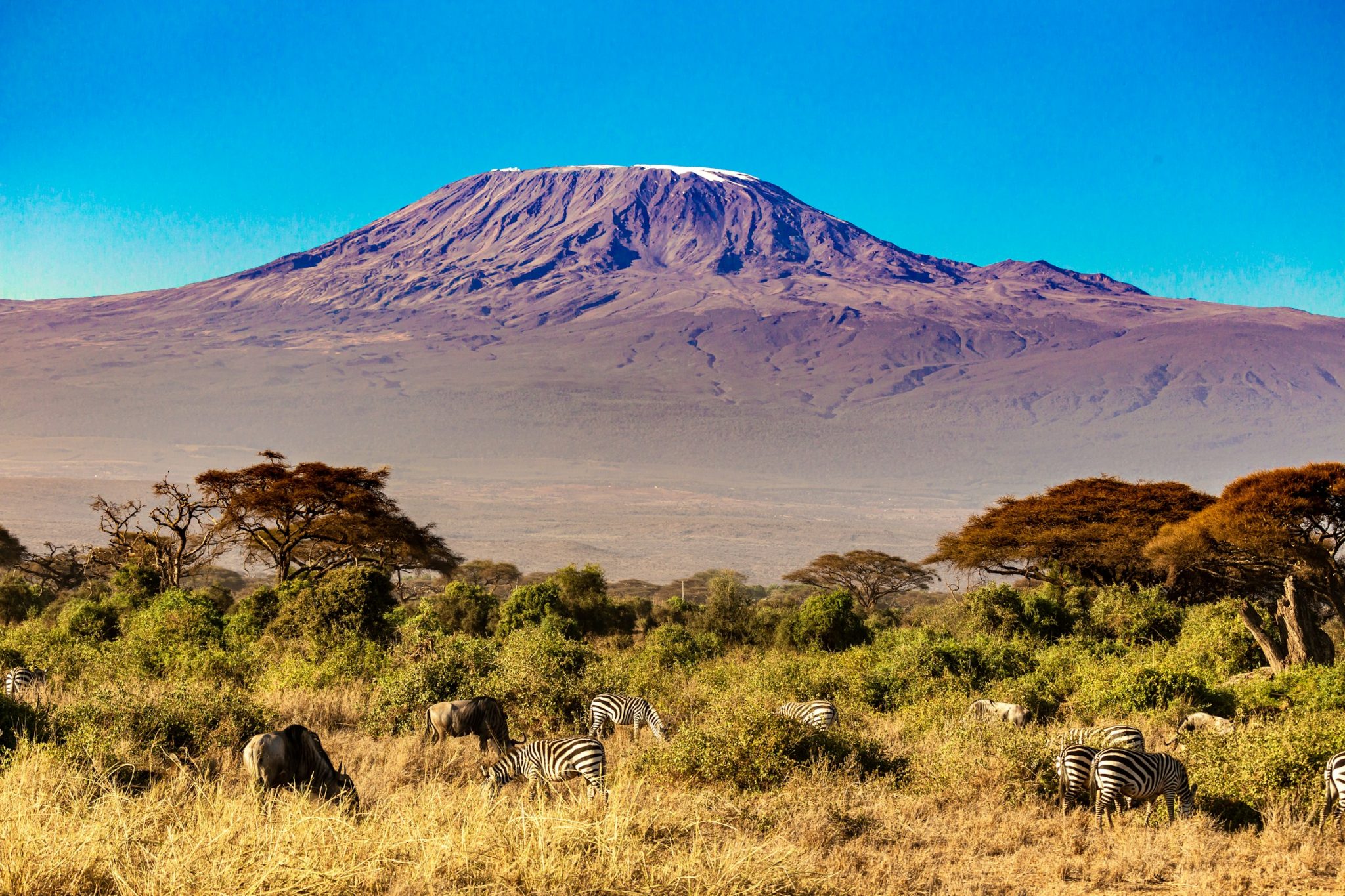 The thrill of trekking through kilimanjaro’s diverse landscapes The thrill of trekking through kilimanjaro’s diverse landscapes