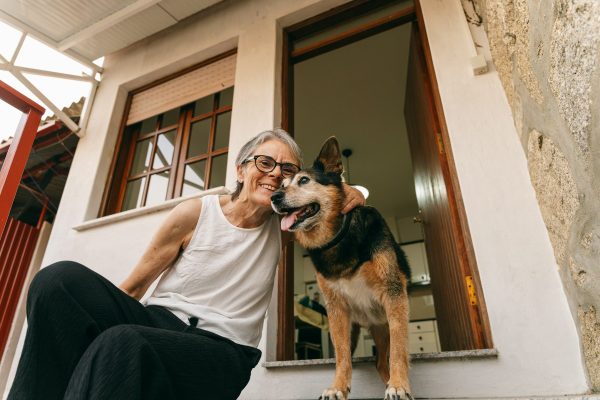 What to know about grooming for senior dogs