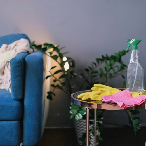 Non-toxic cleaning products arranged on a living room table with indoor plants