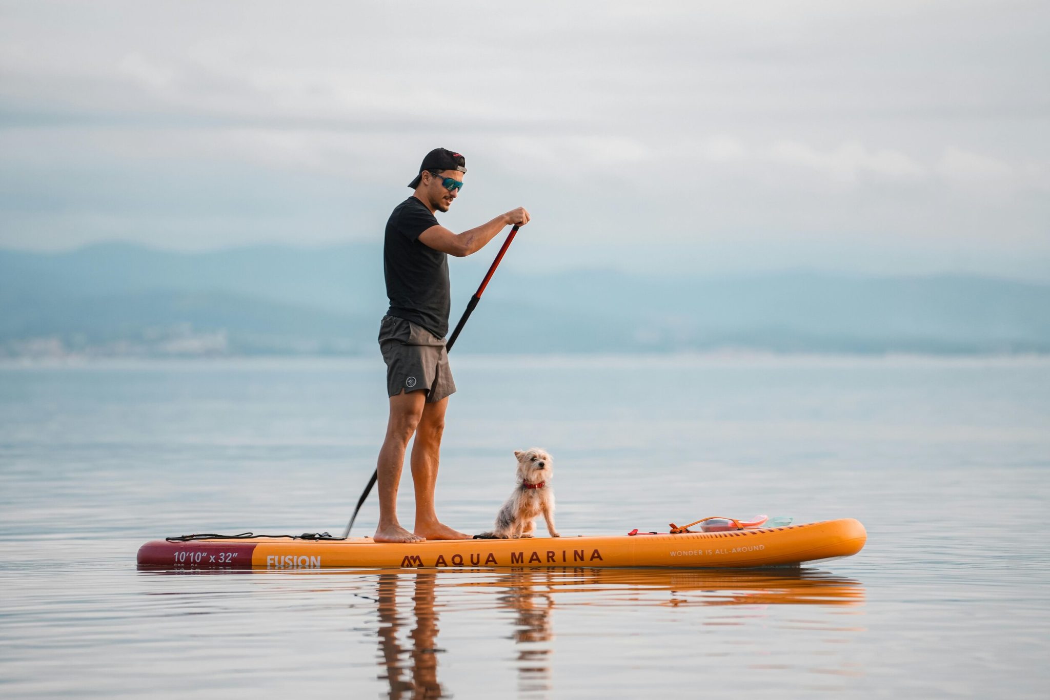 Paddleboarding with a dog on calm water