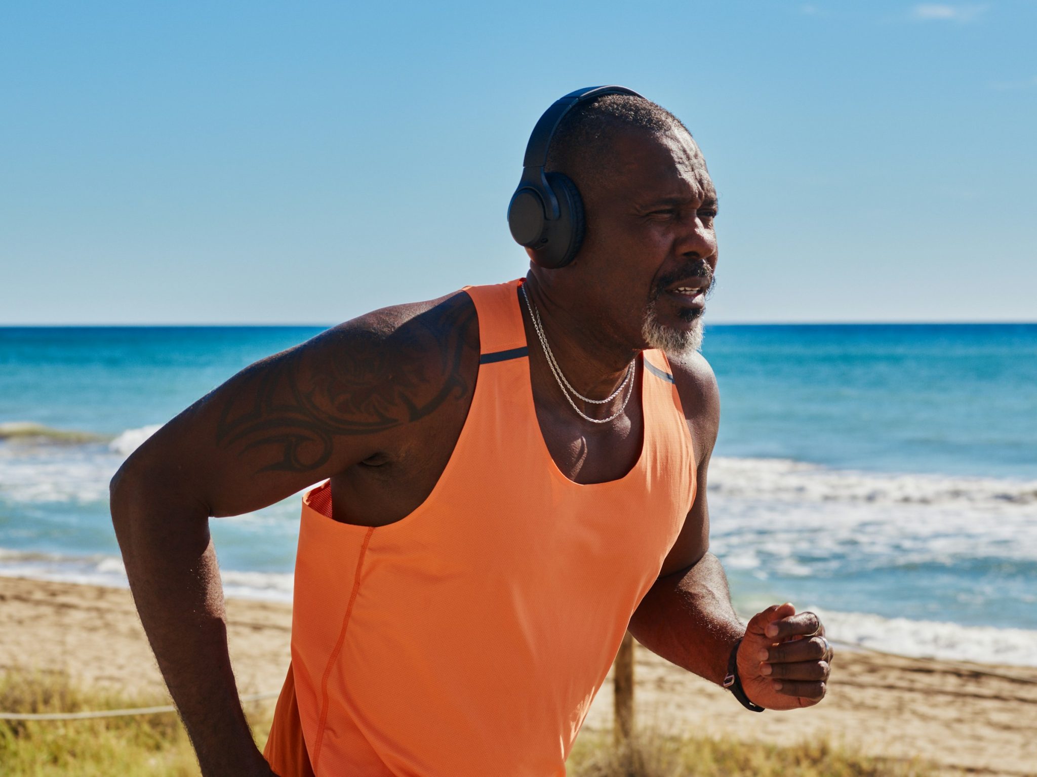 Sea moss gel vs powder: which form is right for you?