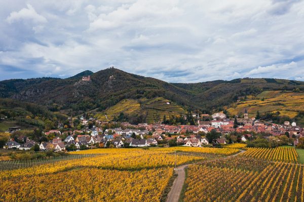 Buying travel insurance online before a long international trip: the overseas medical cover confirmation checklist