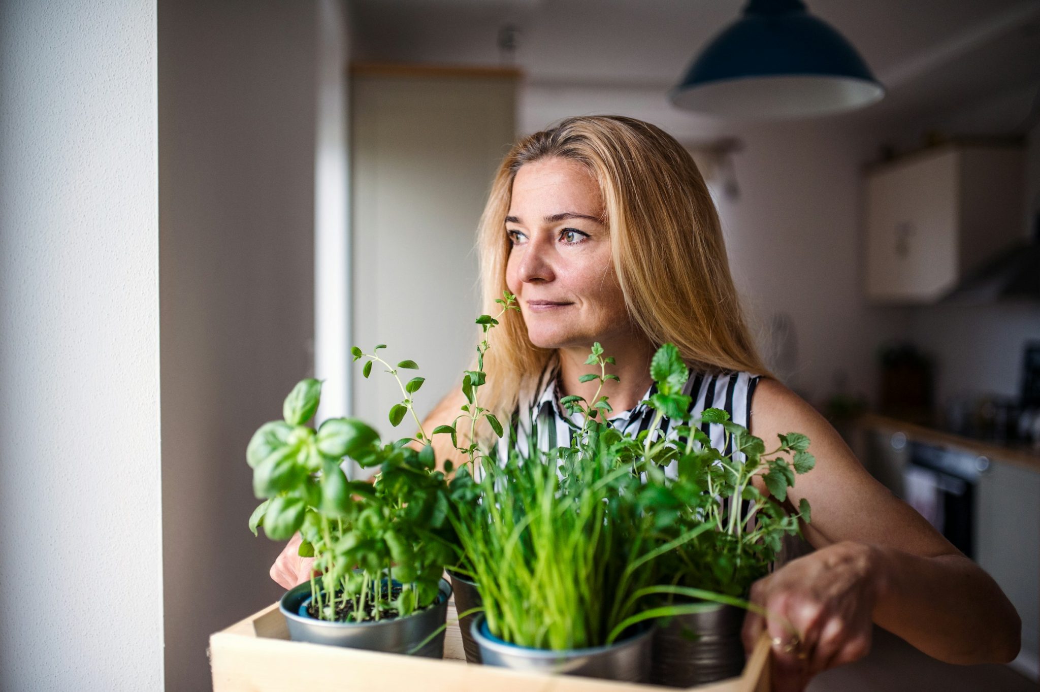 Growing culinary herbs at home: a practical garden guide