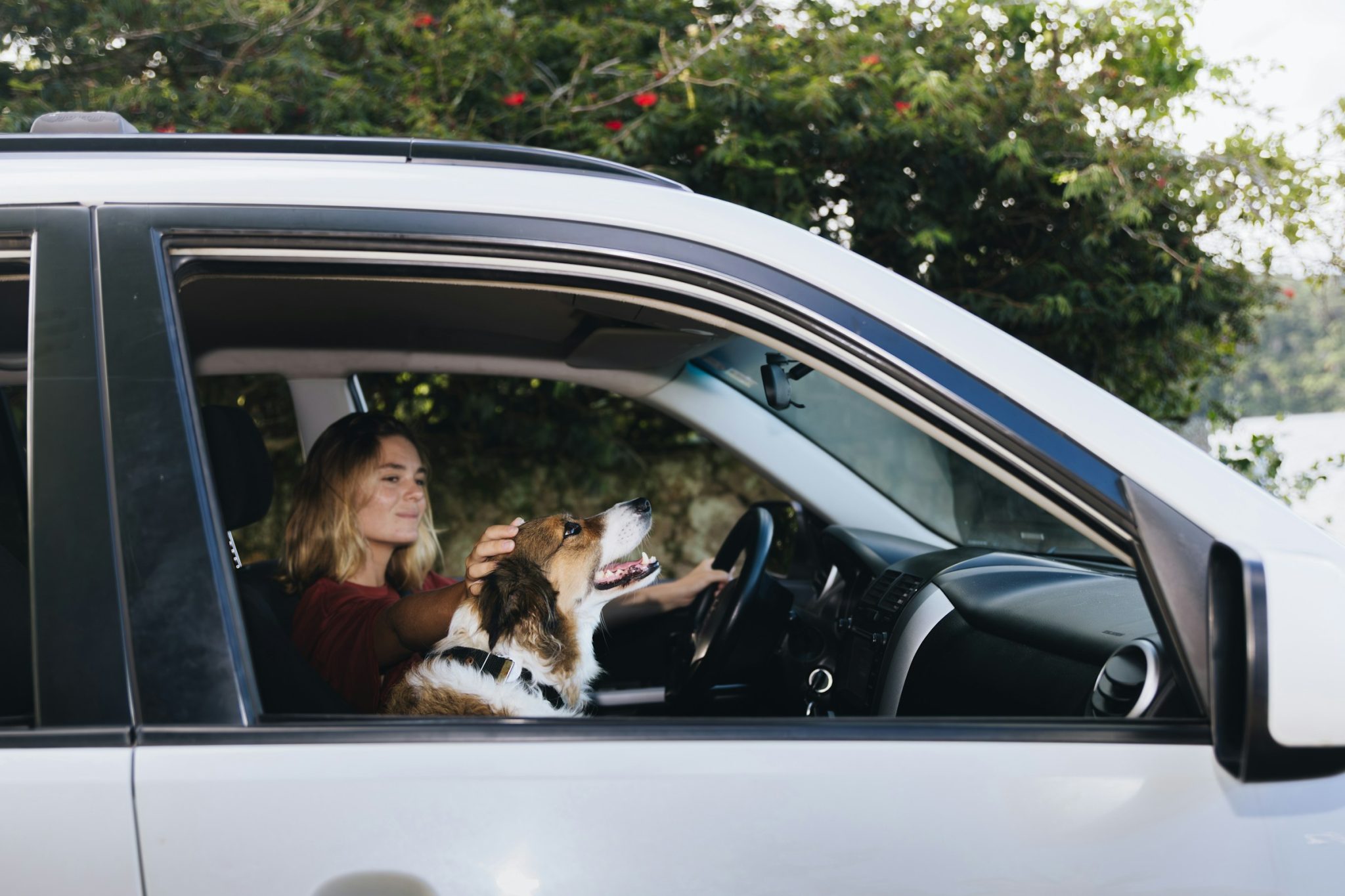 The hidden architecture of a road trip: how great journeys are quietly engineered before you leave