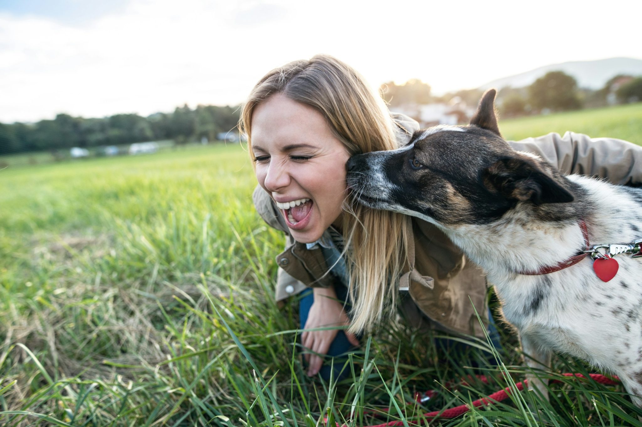 Supporting your dog’s health through every life stage