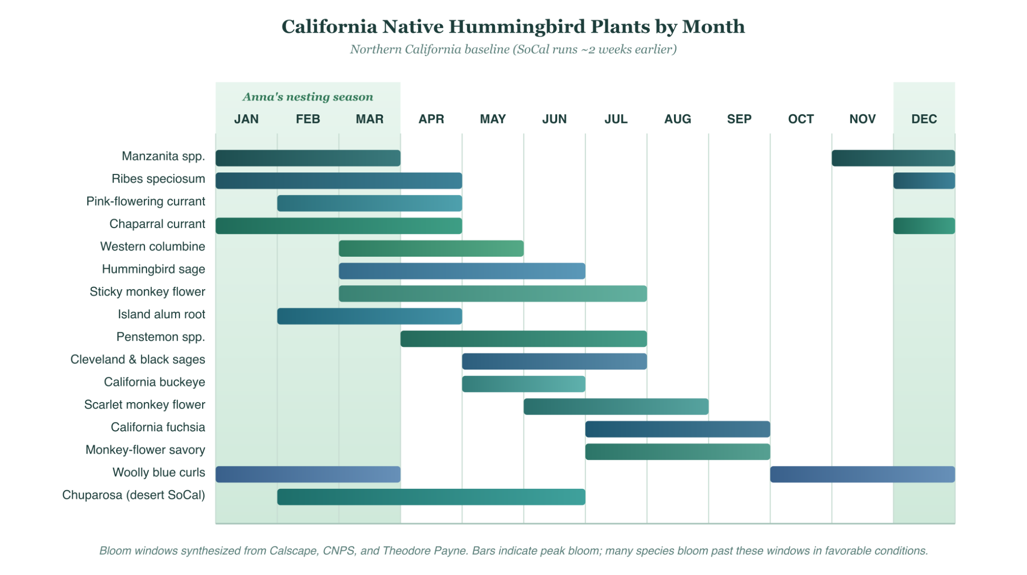 Year-round bloom calendar showing 16 california native plants that attract hummingbirds across all 12 months, with anna's hummingbird nesting season highlighted from december through march