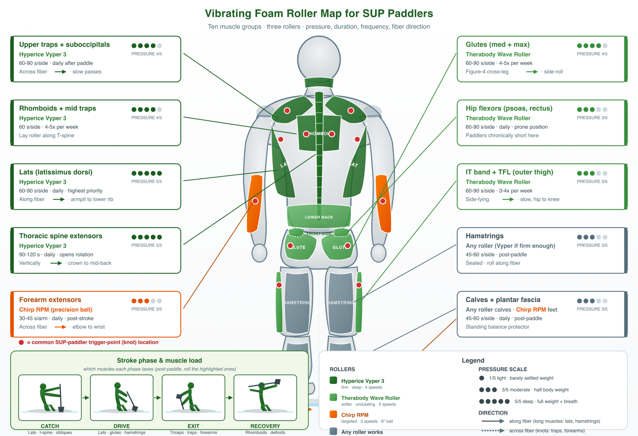 Back-view paddler silhouette with 10 muscle groups color-coded to which vibrating foam roller works best — hyperice vyper 3, therabody wave roller, chirp rpm — plus pressure scale, duration, frequency, fiber direction, trigger-point markers, and a stroke-phase muscle-load inset.