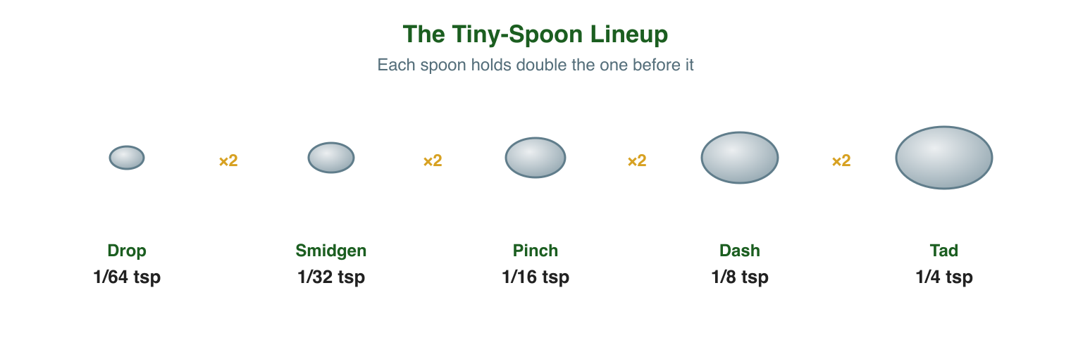 Five measuring-spoon sizes that each double the previous. A drop is one sixty-fourth teaspoon, a smidgen one thirty-second, a pinch one sixteenth, a dash one eighth, and a tad one quarter teaspoon. These are a spoon-maker convention, not an official standard.