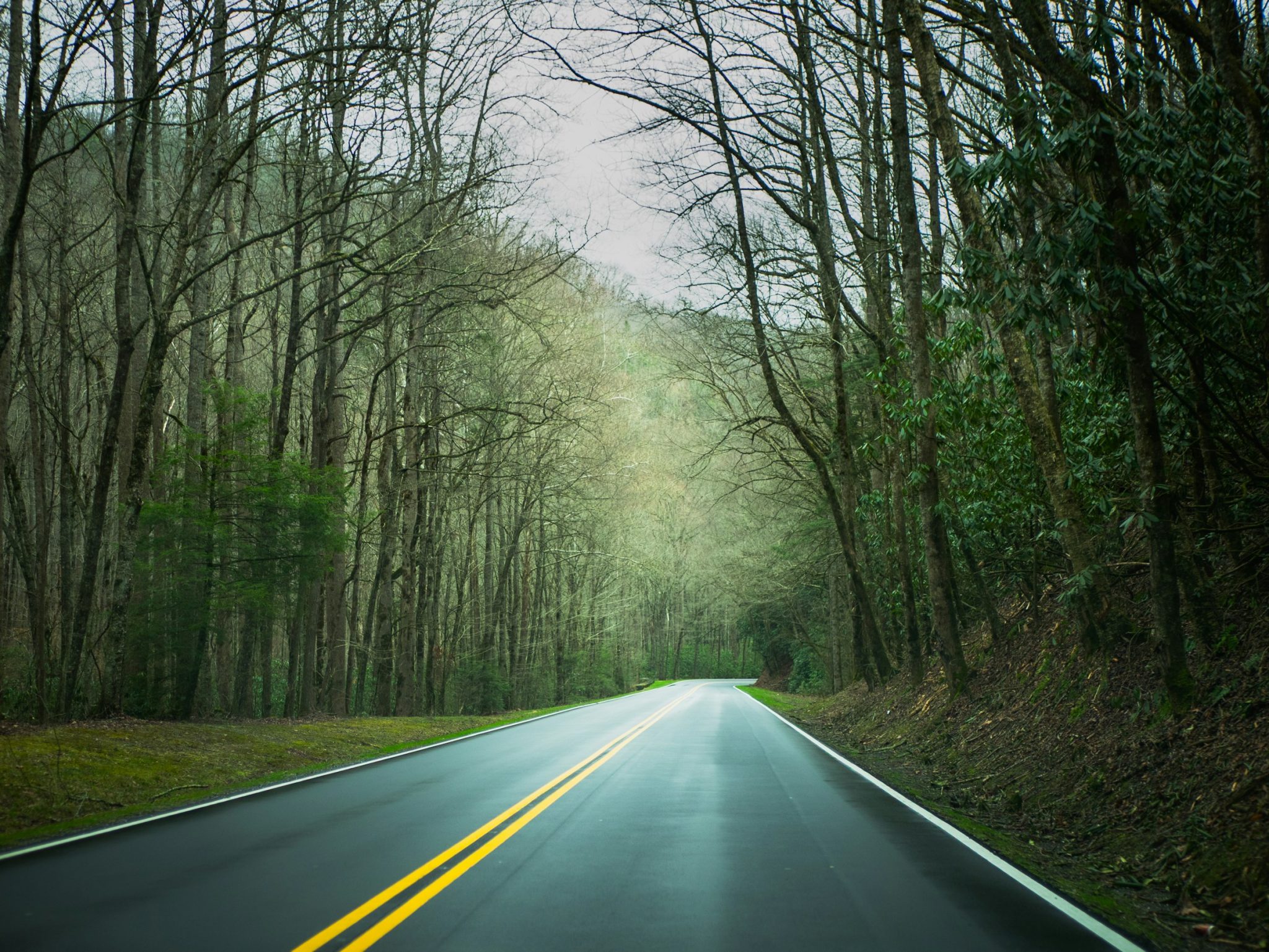 How to turn a weekend road trip into a memorable retreat 2 a weekend road trip offers the perfect opportunity to step away from daily responsibilities without committing to a long vacation. With thoughtful planning, even a short getaway can feel refreshing and rewarding. Instead of focusing only on reaching a destination, travelers can create a more meaningful experience by choosing locations that encourage relaxation, exploration, and quality time with family or friends. How to turn a weekend road trip into a memorable retreat