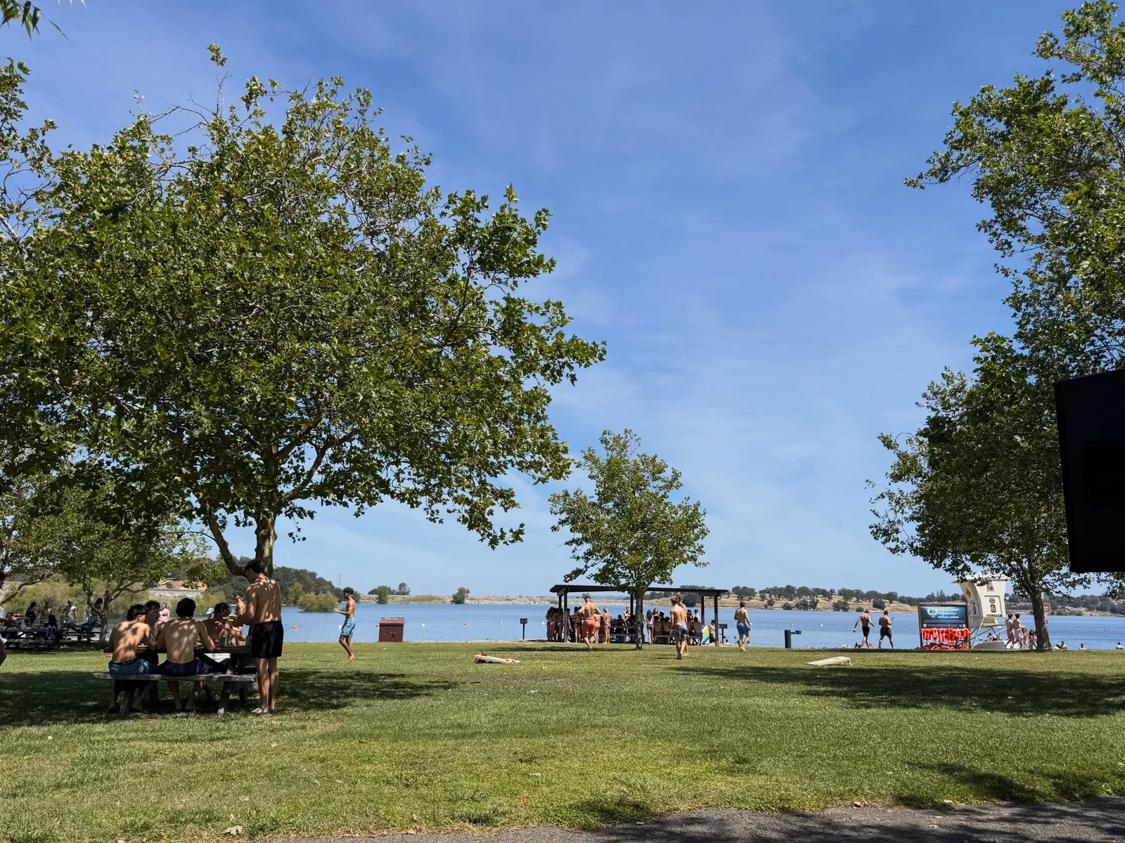 The grassy day-use area and beach at beals point on folsom lake