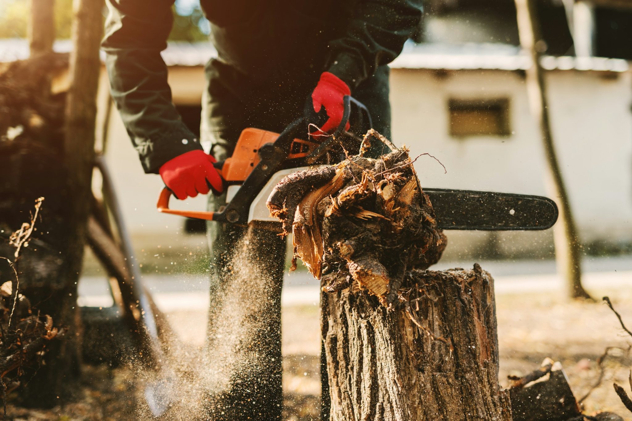 Best online chainsaw retailers for australian buyers