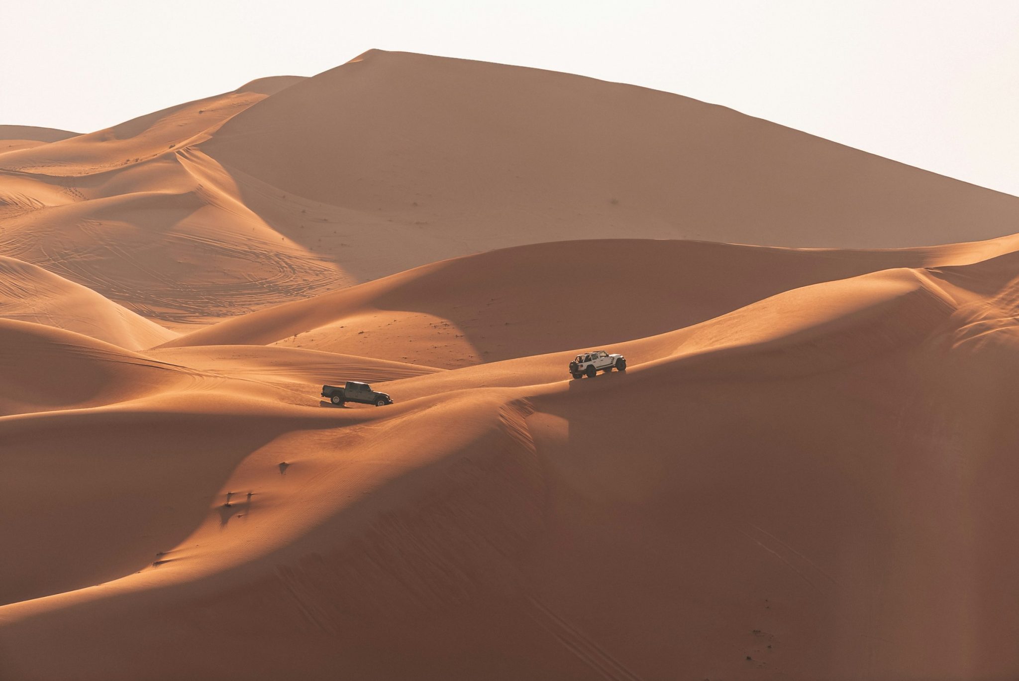 Best time to visit dubai: a seasonal guide