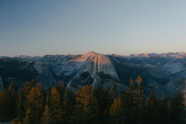 From morning hikes to night tracking: safely experiencing wildlife in america’s forests