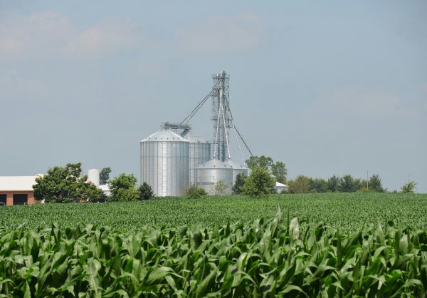 What to look for in a high fructose corn syrup supplier you trust