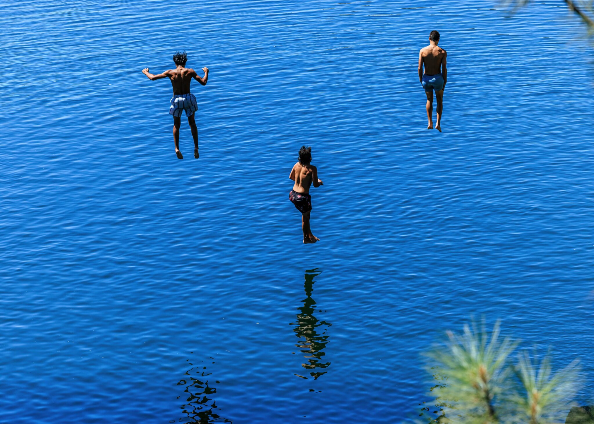 Swimmers leaping into the blue water of folsom lake on a sunny summer afternoon