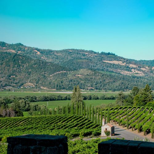 The best time to visit napa valley (from someone who lives an hour away) 44 i live about 75 minutes from downtown napa. Close enough to make the drive on a whim, far enough that every visit still feels like an escape. Over the years i've wandered through the valley in every season: soaked by january rain with a glass of cabernet by a fireplace, sweating through august crush traffic on highway 29, standing in a mustard field in march wondering why more people don't know about this. Napa valley vineyard rows stretching toward rolling hills under a clear california sky