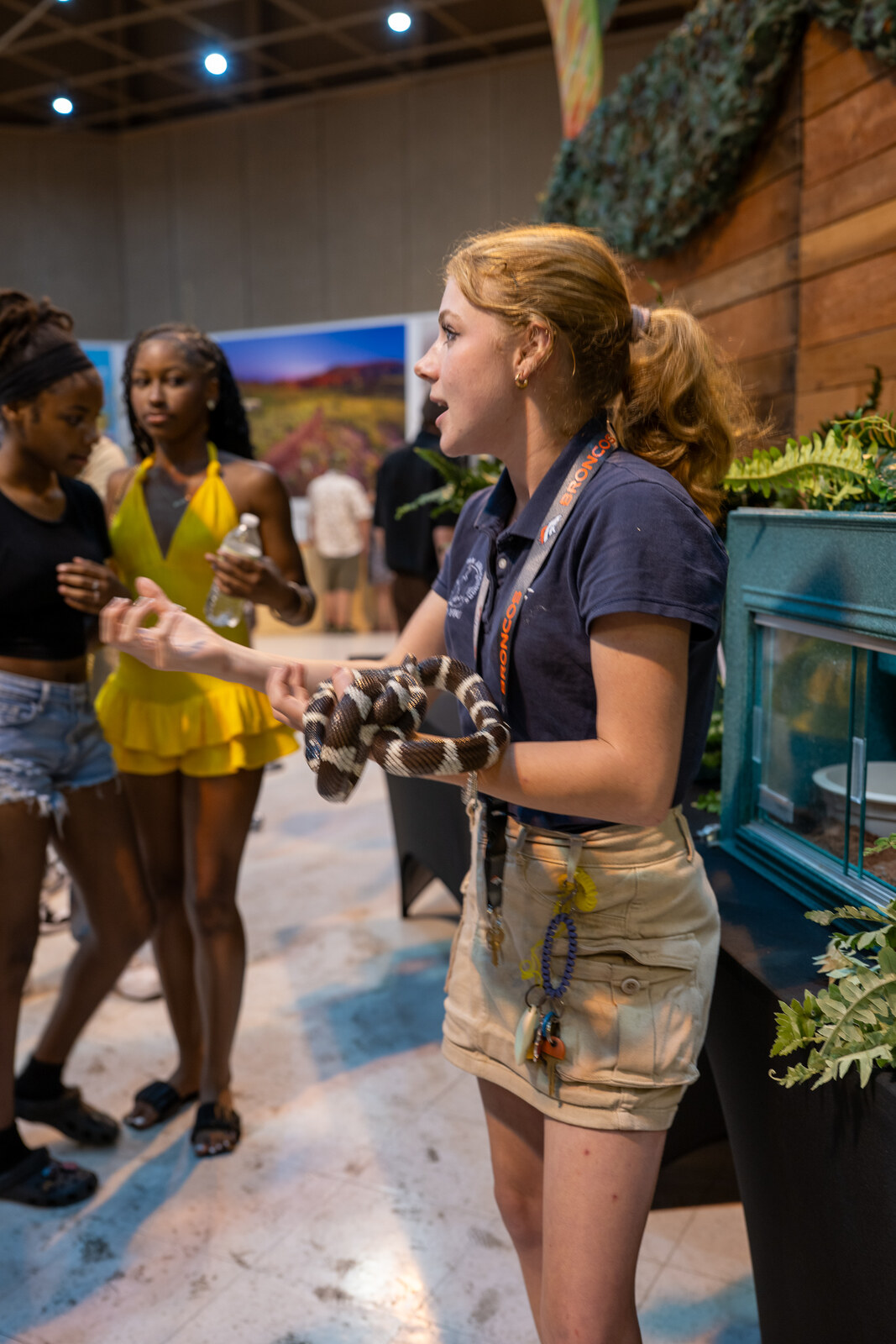 A young reptile handler shows a california kingsnake to teenagers at the state fair nature exhibit