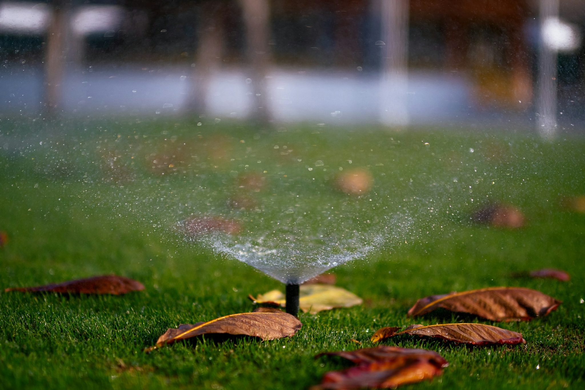 How smarter sprinkler planning helps your garden thrive
