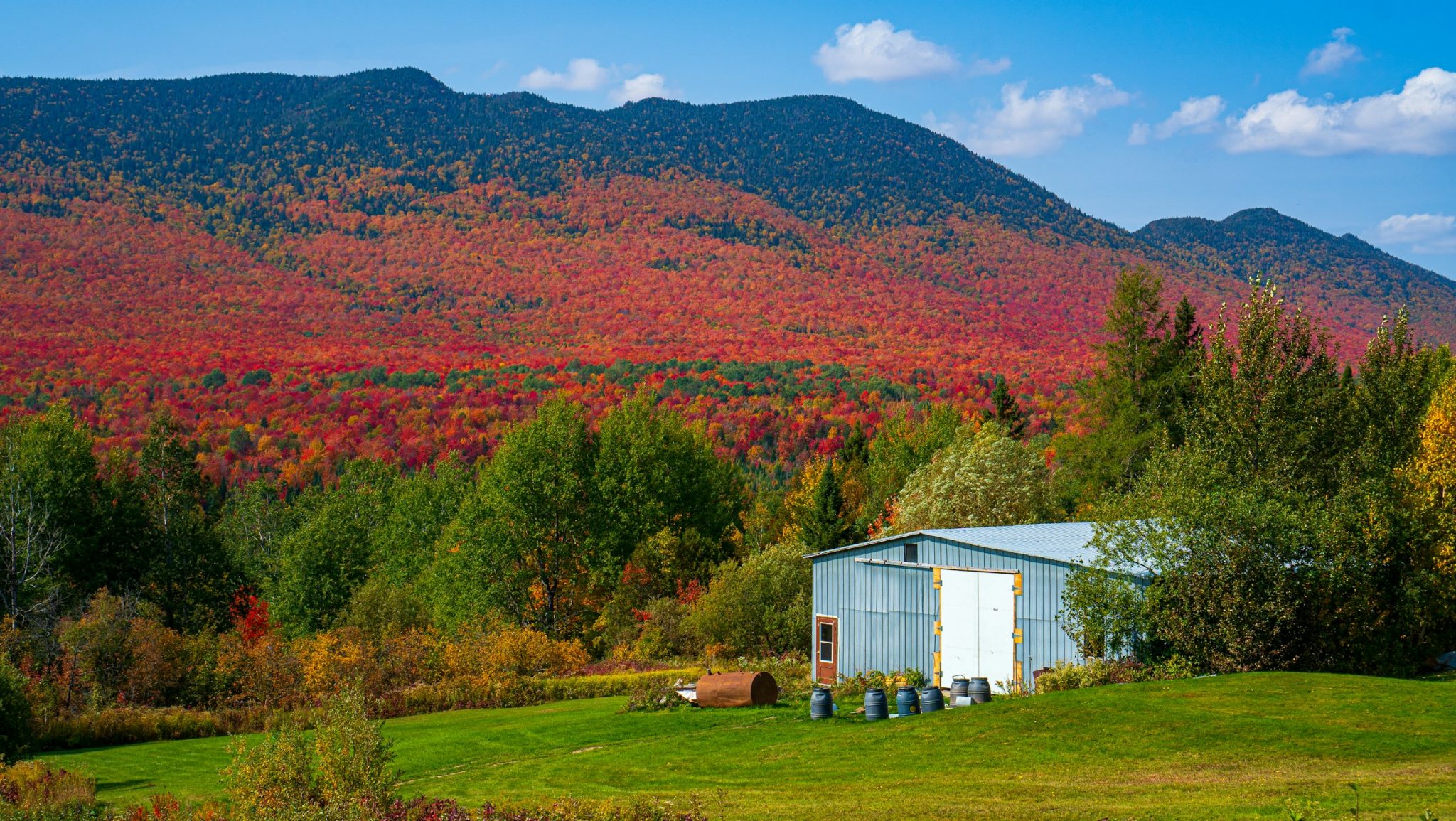 Practical reasons farmers in nova scotia are choosing metal structures