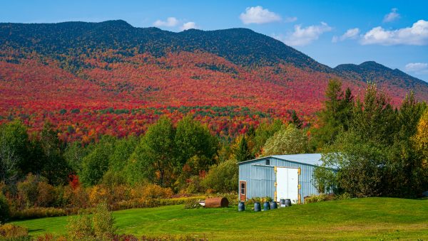 Practical reasons farmers in nova scotia are choosing metal structures