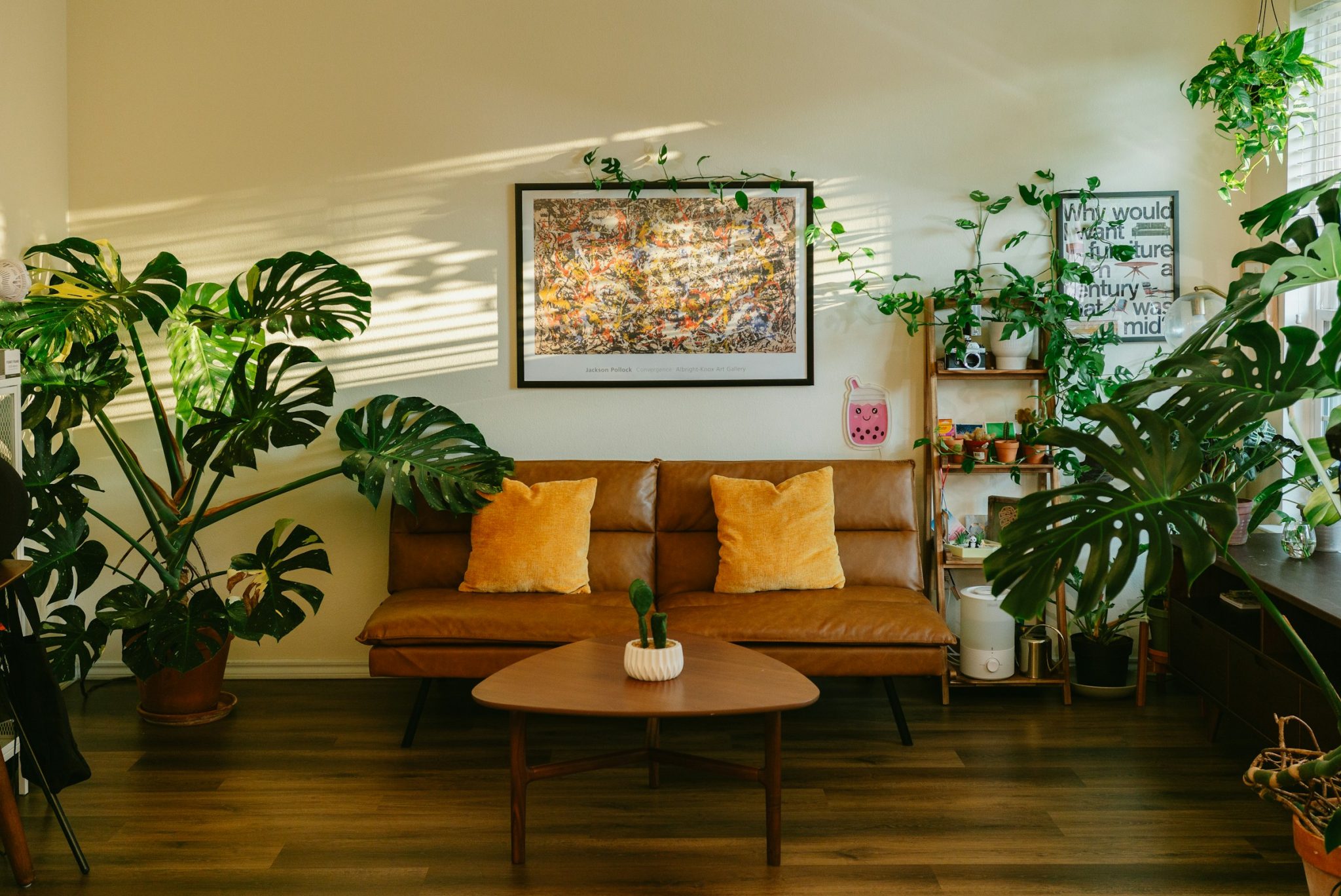 What to look for in a new couch and smart ways to afford quality without overspending