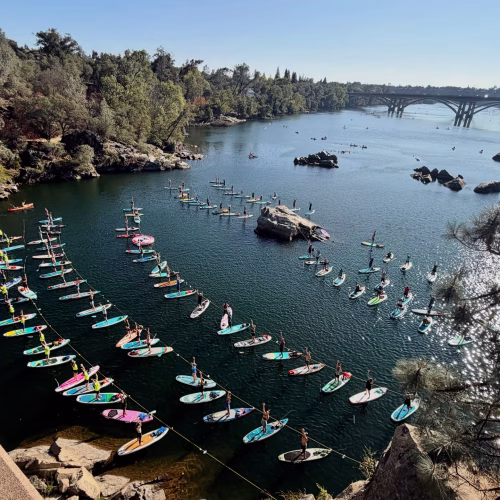 Aerial view of more than a hundred paddle boarders holding a yoga pose on lake natoma, boards tethered in rows to a line across the water