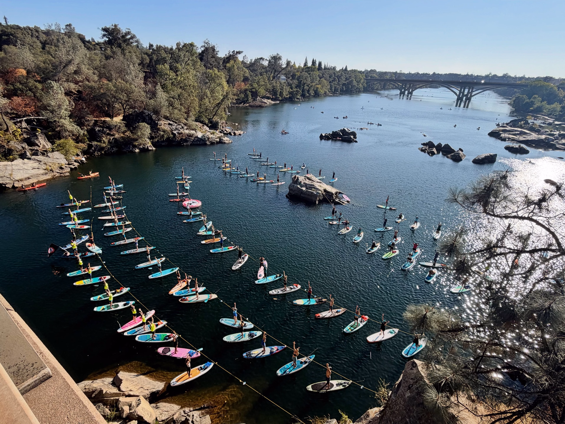 Aerial view of more than a hundred paddle boarders holding a yoga pose on lake natoma, boards tethered in rows to a line across the water