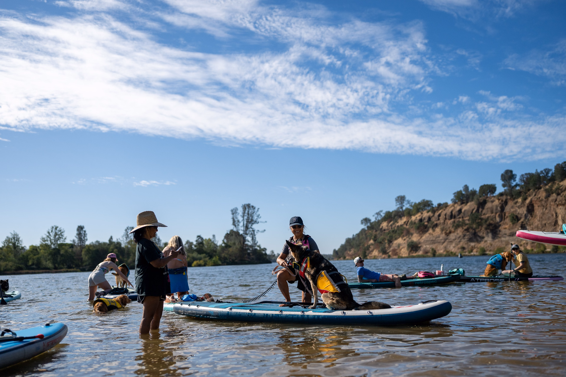 Paddlers and their dogs in life jackets gathering in the shallows at lake natoma before the dog paddle, with a shepherd sitting on the nose of an inflatable board