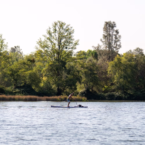 Scene from the paddlesplash 2026 paddling festival on lake natoma in folsom, california