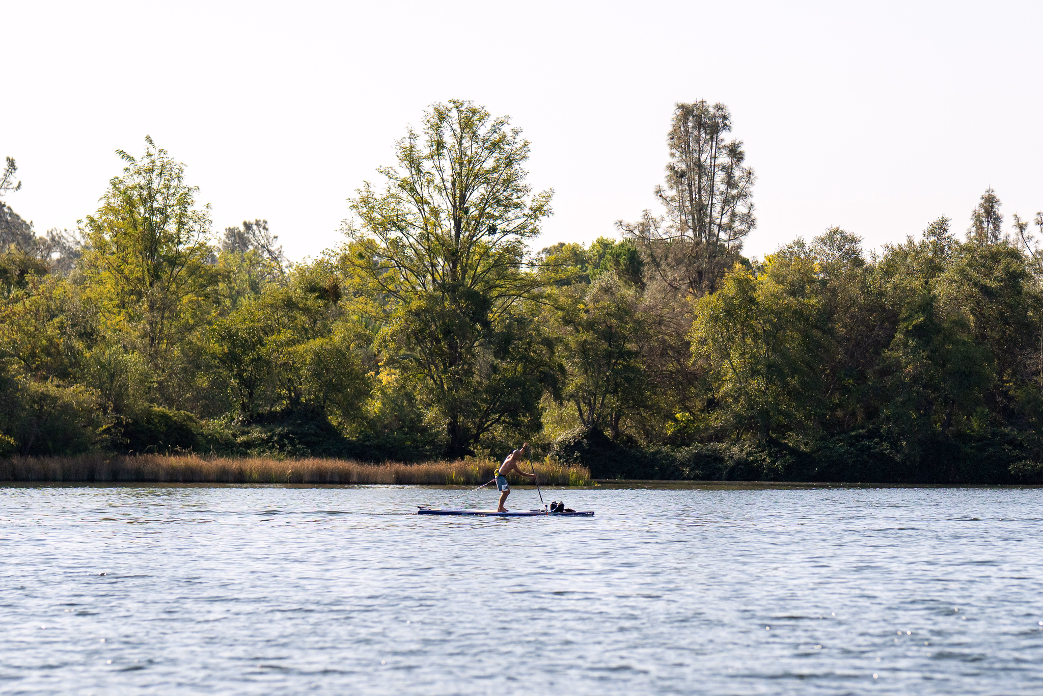 2026 paddlesplash festival at lake natoma: races, relays, festivities, and taking home gold 5 the schedule travels. The single most useful thing i did at paddlesplash was settle in advance what went in and when, rather than deciding it on the day. Nationals spreads the big three across three days rather than three hours, which makes the planning easier and the discipline harder. Scene from the paddlesplash 2026 paddling festival on lake natoma in folsom, california