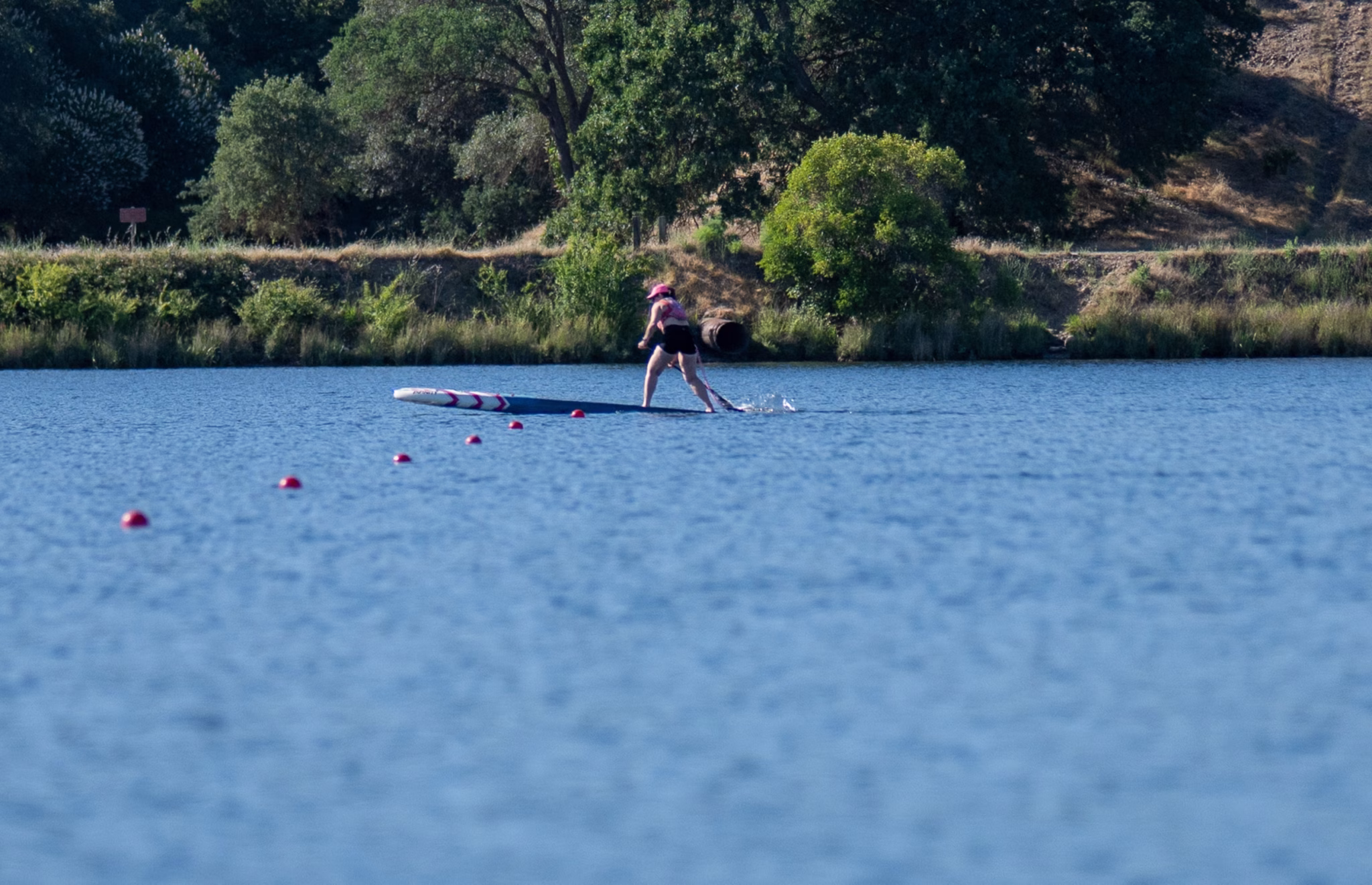 Your first paddle board race: from casual paddler to the starting line 5 a real paddler's guide to entering your first sup race. Science-backed training plan, gear breakdown, pacing strategy, and what nobody tells you about race day. Paddler on a race stand-up paddle board tracking alongside a line of red course buoys at lake natoma
