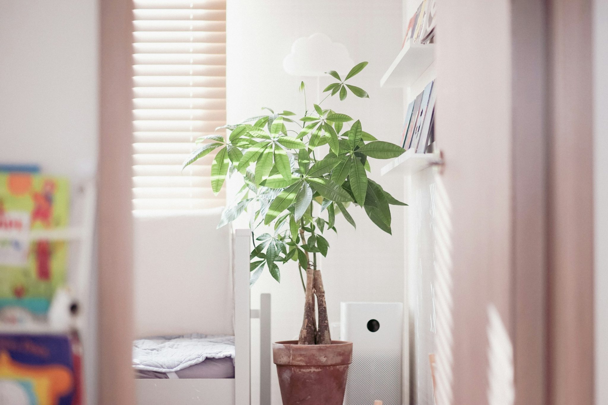 How to reduce dust and allergens in your home