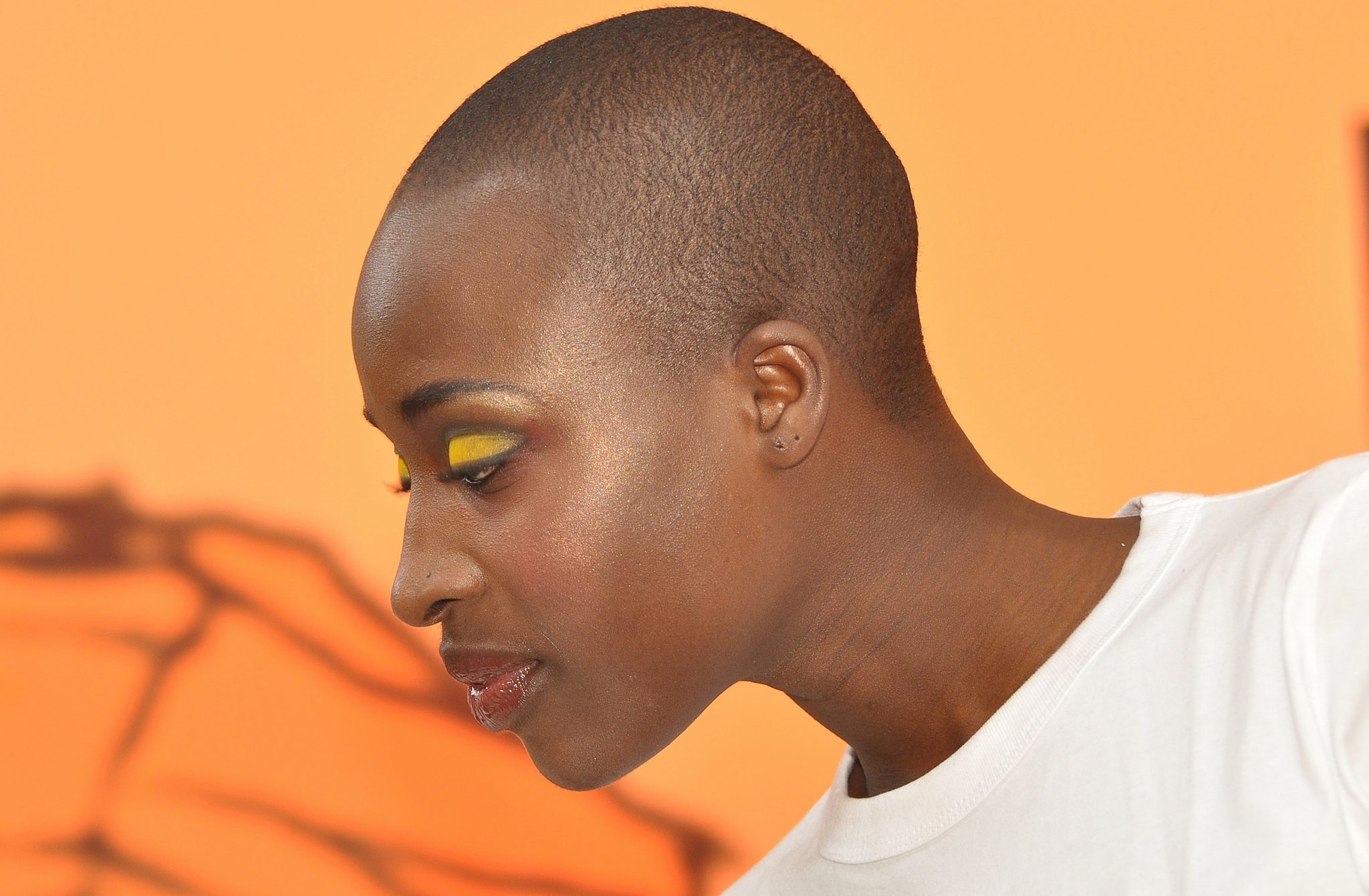 Regenerative skin research explores combined actions of multi-sequence peptide formulas