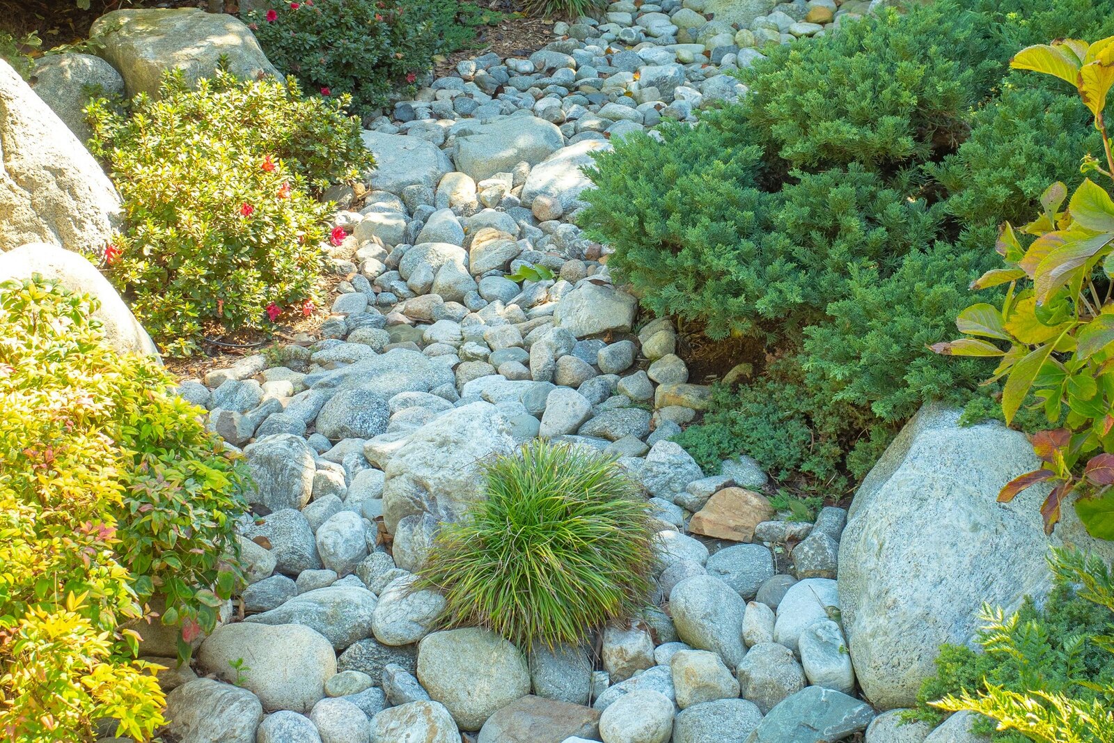 Dry creek bed of smooth gray-green river rock winding between boulders, a clump of ornamental grass and flowering shrubs