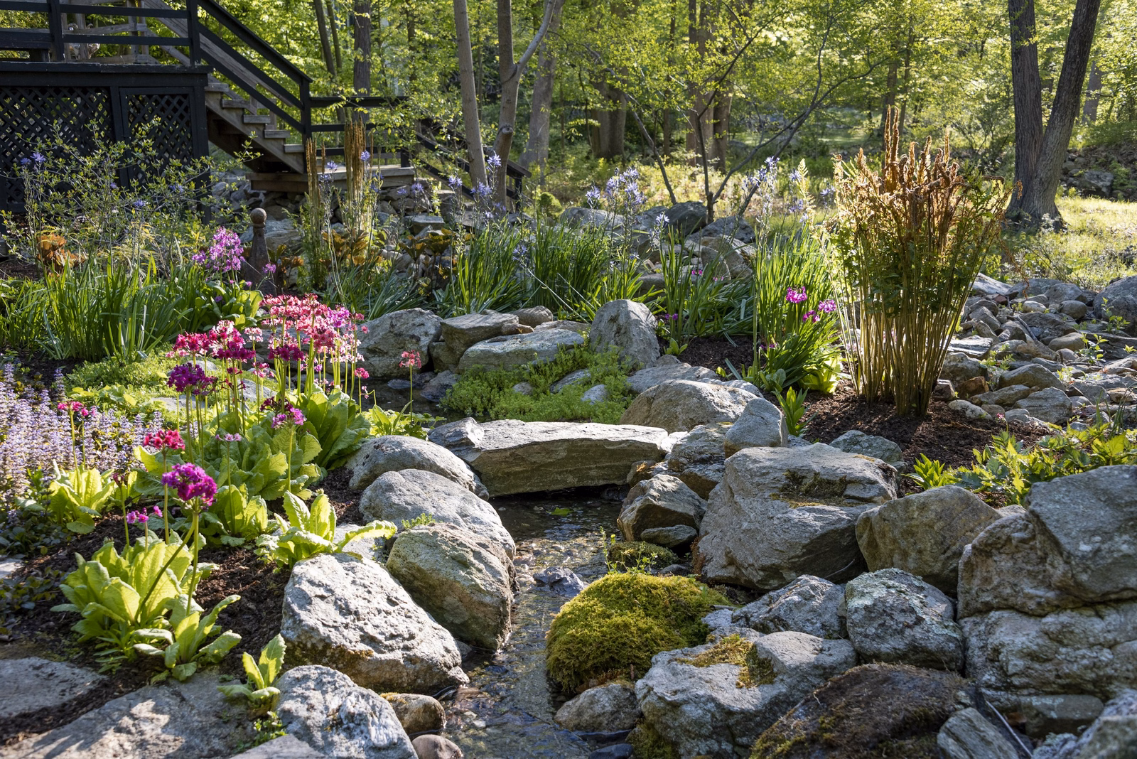 Dry creek bed landscaping: curves, a french drain and low-voltage light 7 how to build a curving dry creek bed over a french drain and light it at 2700k, with rock sizes, drain fabric specs, wiring code and sacramento rebate rules. Rock garden of stacked boulders with flowering primroses and grasses beside a narrow channel