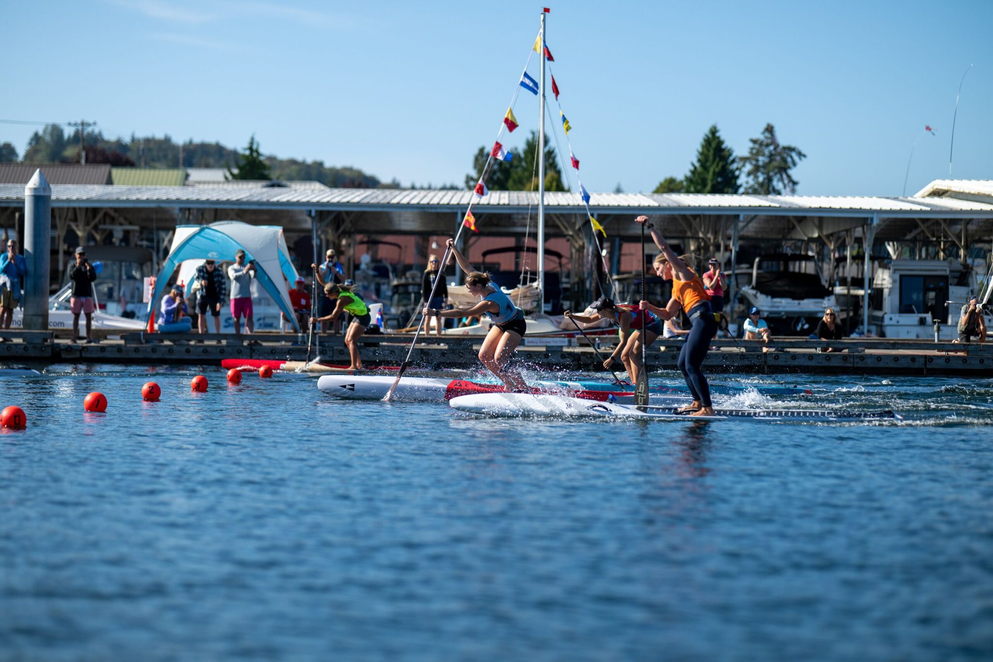 Four paddlers driving their race boards off the start of a sprint heat beside a line of red lane buoys, with spectators on the docks
